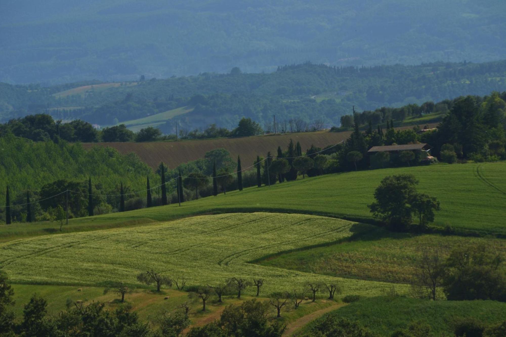 Agriturismo La Casetta Del Sole Villastrada (Umbria) Exterior foto